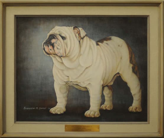 Фото Flippins Navajo Ii. Джерело: BulldogPedigree #7547